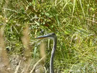 bike ride 091516 8.webp