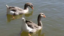 100_6069.webp