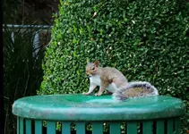 DSCN5668.webp