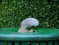 DSCN5669.webp