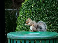 DSCN5672.webp