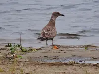 DSCN5678.webp
