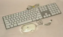 G4-06.webp
