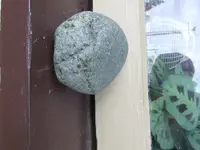 DSCF1589.webp