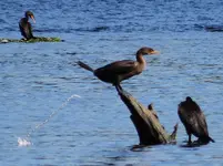 DSCN9470.webp
