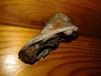 20160910_110553.webp