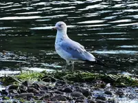 DSCN9493.webp