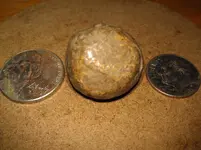 musketball2.webp