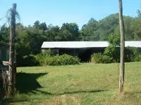 DSCF0003.webp