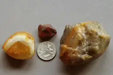 Agate-2016-10-08-Img_2151SSS.webp Agate-2016-10-08-Img_2151SSS.webp