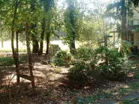 DSCF0009.webp