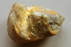 Agate-2016-10-08-Img_2154SSS.webp Agate-2016-10-08-Img_2154SSS.webp
