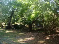 DSCF0011.webp