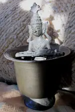 no.11.webp