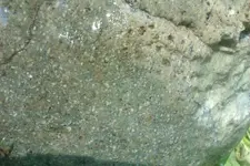 IMAG0050.webp