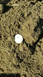 20160925_103354_resized.webp
