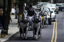 K1600_Carriages on Street.webp