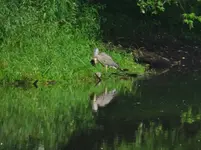 DSCN9760.webp