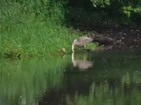 DSCN9765.webp