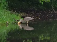 DSCN9772.webp