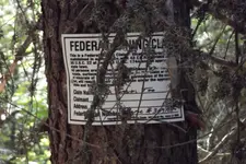 DSCF1315.webp