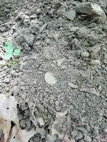 20160903_110153_resized.webp