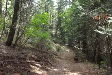 DSCF1317.webp