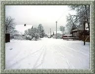 111.webp
