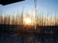 444.webp