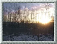 888.webp