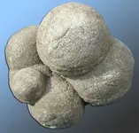 concretions.webp