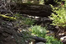 DSCF1327.webp