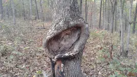 20161026_173800.webp