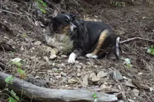 DSCF1328.webp