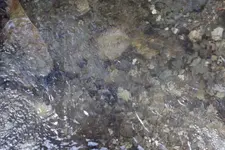 DSCF1332.webp