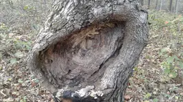 20161026_173839.webp