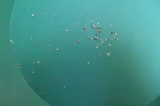 DSCF1334.webp