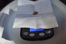 DSCF1335.webp