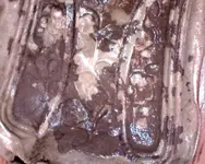 Image12.webp