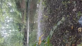 20161002_160854.webp