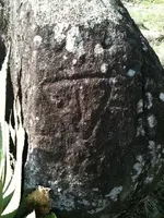 ImageUploadedByTreasureNet.com1477676778.354320.webp