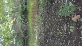 20161002_160905.webp