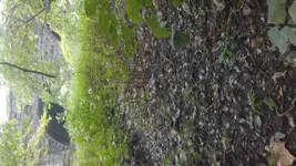 20161002_160901.webp