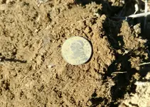 _20161105_164549.webp