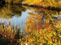 bike ride 100916 2.webp