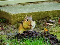 DSCN0044.webp