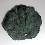 mystery_shell_item2.webp