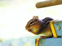 DSCN0050.webp
