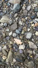 ImageUploadedByTreasureNet.com1474732603.410407.webp