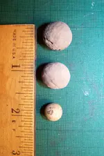 100_9024.webp
